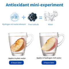 Hydrogen-Rich Alkaline Water Generator Bottle (Portable)
