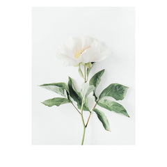 Modern Art Abstract Plant Watercolor Poster Print